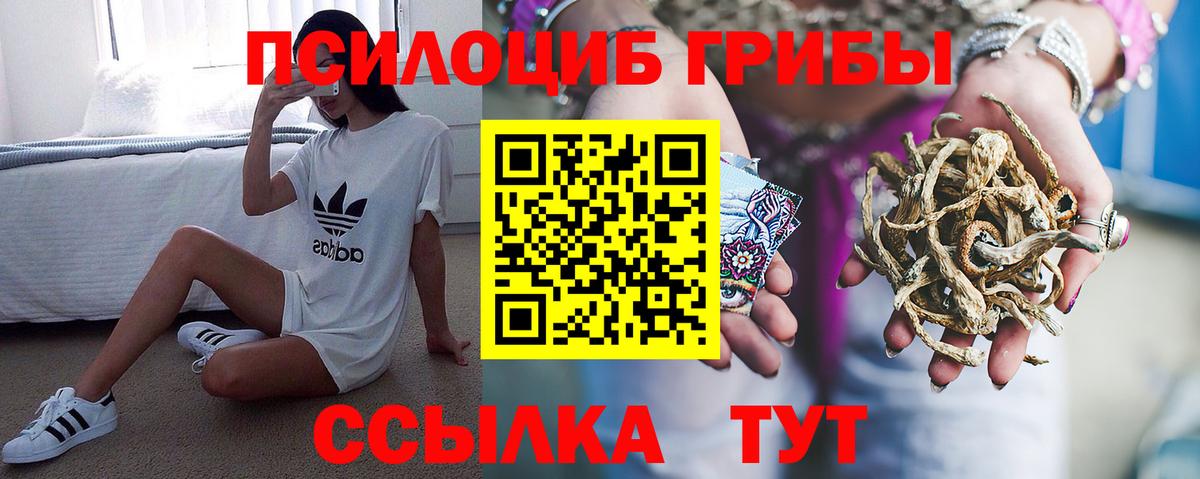 как найти наркотики  Вход с VPN  Жигулёвск  Псилоцибиновые грибы Psilocybe 